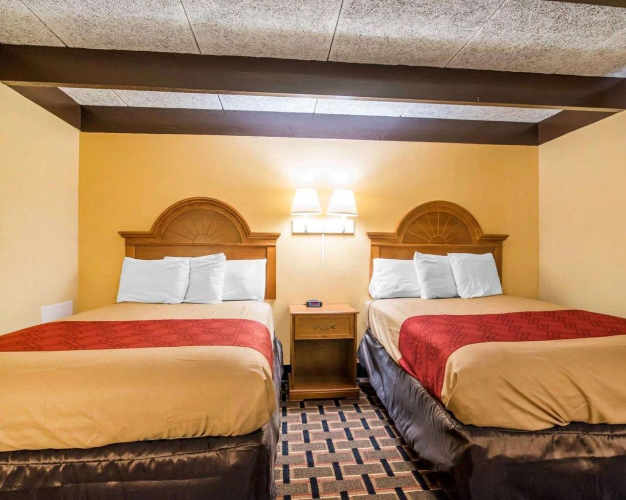 Econo Lodge นิวพาลทซ์ ภายนอก รูปภาพ